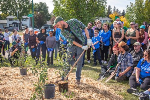 Tree Canada Saskatoon 2025