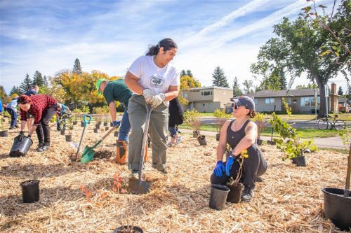 Tree Canada Saskatoon 2025