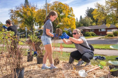 Tree Canada Saskatoon 2025