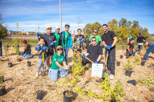 Tree Canada Saskatoon 2025
