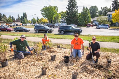Tree Canada Saskatoon 2025