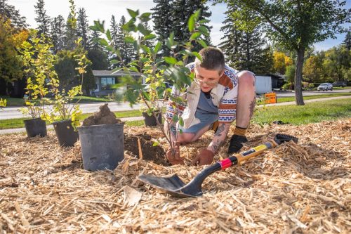 Tree Canada Saskatoon 2025