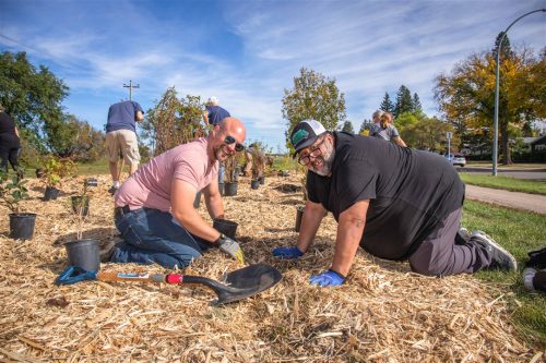 Tree Canada Saskatoon 2025