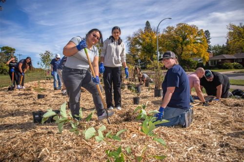 Tree Canada Saskatoon 2025