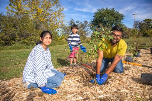 Tree Canada Saskatoon 2025