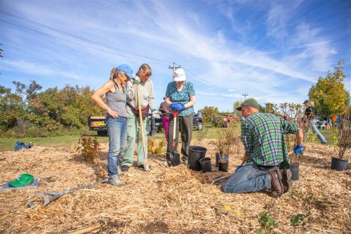 Tree Canada Saskatoon 2025